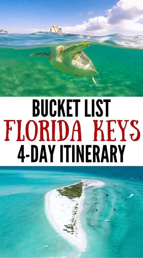 Our Florida Keys travel guide and bucket list trip itinerary covers everything you need to know -- things to do, where to stay, packing and more! | key west florida | florida keys | florida keys road trip | key west vacations | travel usa | florida keys travel | marathon florida keys | best things to do in florida keys | places to go | summer bucket list | dive florida | wanderlust Things To Do In The Florida Keys, The Keys Florida, Florida Itinerary, Key West Florida Vacation, Florida Keys Travel, Keys Florida, Marathon Key, Florida Keys Road Trip, Florida Vacation Spots