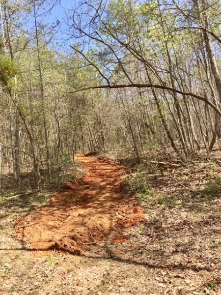 cleared trail Making Trails In The Woods, Diy Walking Trail, Horse Trails, Walking Trail, Horse Trail, Sunday Evening, Wood Chips, We Did It, Walking Trails