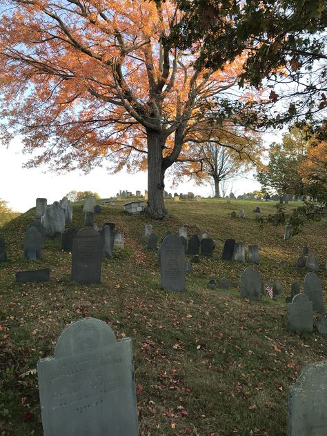 Cemetary Aesthetic Night, Cemetery Reference, Mortuary Aesthetic, Aesthetic Cemetery, Cemetery Aesthetic, Forest Cemetery, Midwest Christmas, Autumn Cemetery, Haunted House Pictures