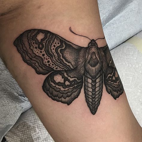 I could quite happily tattoo moths for the rest of my life. Thankyou Jennifer. Mehr Nature Arm Tattoo, Moth Tattoos, Moth Tattoo Design, Mother Nature Tattoos, Insect Tattoo, Upper Arm Tattoos, Fire Tattoo, Moth Tattoo, Nature Tattoos