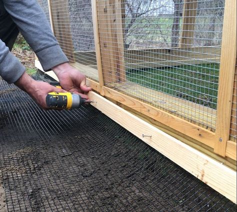 Quail Coop, Walk In Chicken Coop, Chicken Coop Garden, Chicken Barn, Backyard Chicken Coop Plans, Backyard Farm, Diy Chicken Coop Plans, Urban Chickens, Chicken Farming