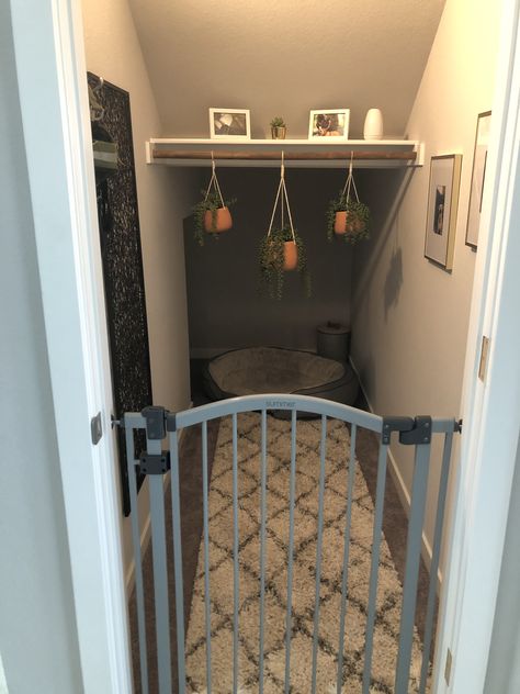 Under Stairs Puppy Room, Pet Room Ideas Under Stairs, Under Stairs Animal House, Understair Room Idea, Dog Bedroom In Closet, Pet Space Under Stairs, Under Stairs Dog Kennel Door, Dog Staircase Room, Dog Kennel Ideas Indoor Under Stairs