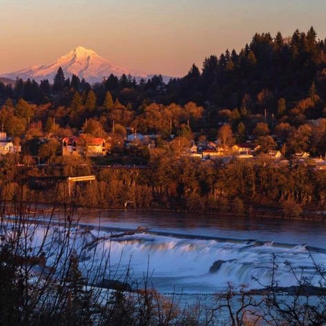 Such a beautiful shot of Mt.Hood and historic Willamette Falls in West Linn, Oregon. West Linn Oregon, Aesthetic Scenery, Mt Hood Oregon, Mount Hood, Rose City, Mt Hood, Watercolor Projects, Scenic Beauty, Pacific Northwest