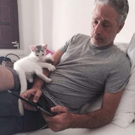 Celebrity Cats, Celebrities With Cats, Men With Cats, John Stewart, Office Dog, Jon Stewart, Cat Photos, The Daily Show, Cat Boarding