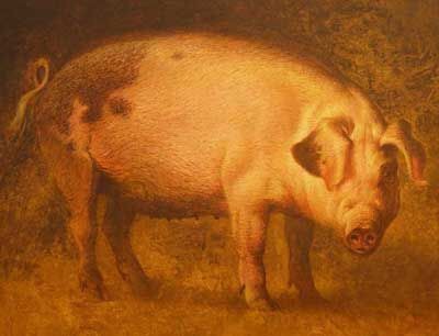 Ezra Tucker Ezra Tucker, Pig Oil, Fantasy People, Pig Drawing, Pig Art, This Little Piggy, Animals Artwork, Arte Animal, International Artist