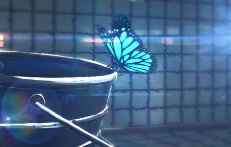 Life Is Strange Wallpaper, Life Is Strange Fanart, Most Beautiful Butterfly, Arcadia Bay, Life Is Strange 3, Battlefield 1, Butterfly Photos, Video X, Arte Inspo