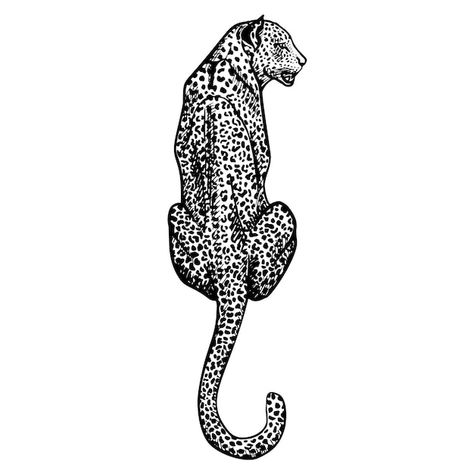 Cheetah Vector, Leopard Sketch, Cheetah Drawing, Cheetah Tattoo, Leopard Drawing, Jaguar Tattoo, Leopard Tattoos, Silhouette Sketch, Animal Sketches