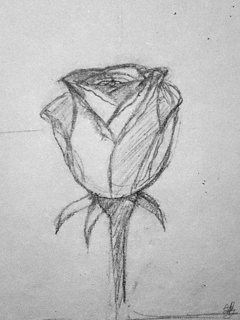 A sketch of a semi-open rose done in pencil on a light gray-ish background. Its stem is halfway shown along with three leaves sticking outward. Simple Vintage Drawings, White Rose Drawing Simple, Flower Sketch Reference, Easy Sketches Flowers, Roses Sketch Drawing, Cool Sketch Ideas Vintage, Rose Drawing Reference, Flower Sketches Easy, Rose Sketch Simple