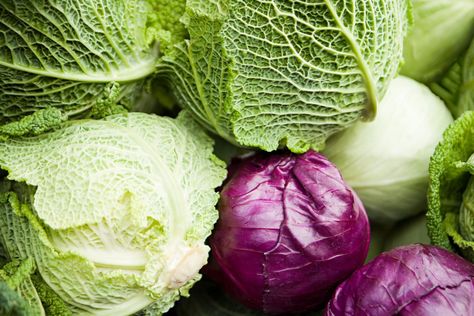 There are hundreds of cabbage varieties, but only a few make it to the supermarket. Here is what you need to know when selecting cabbage for a recipe. Cabbage Health Benefits, Cabbage Varieties, Types Of Cabbage, Freezing Vegetables, Cruciferous Vegetables, Savoy Cabbage, Cooked Cabbage, Purple Cabbage, Napa Cabbage