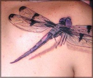 Dragonfly Tattoo Swan, Dragonfly Tatoos, 3d Dragonfly, Dragonfly Tattoos, Freedom Tattoos, Dragon Flys, Shoulder Blade Tattoo, Dragonfly Tattoo Design, Maori Tattoos