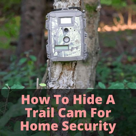 Hiding a trail cam for home security is very different than setting one up to capture animals. That should be obvious. what isn't obvious is that you need to... Hidden Cameras Ideas Outside, Hiding Security Cameras Outdoor, Outside Security Cameras, Diy Security Camera, Security Camera Hidden, Hidden Games, Trail Cam, Mini Spy Camera, Trail Cameras