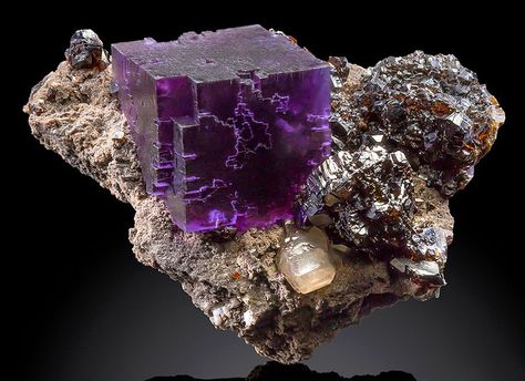 Fluorite cube with Calcite and Sphalerite on matrix. Different Types Of Crystals, Minerals Crystals Rocks, Rocks And Fossils, Fine Minerals, Types Of Crystals, Pretty Rocks, Crystal Magic, Beautiful Rocks, Mineral Stone