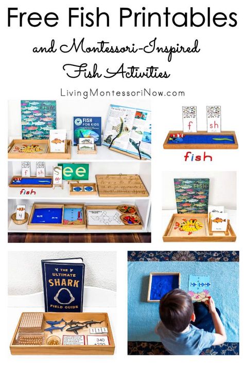 Free Fish Printables, Homeschool Themes, Homeschool Units, Fish Project, Creative Curriculum Preschool, Fish Printables, Curriculum Preschool, Science Area, Fish Tank Themes