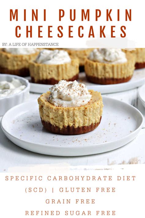 Grain Free Cheesecake, Grain Free Cheesecake Crust, Gluten Free Mini Cheesecake, Gluten Free Mini Pumpkin Cheesecake, Scd Dessert Recipes, Keto Mini Pumpkin Pies, Scd Diet Desserts, Scd Pumpkin Recipes, Thm Pumpkin Cheesecake