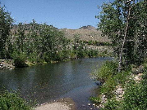 4. Truckee River Truckee River, River Fishing, Tips And Advice, Fishing Tips, Be Perfect, Nevada, Fishing, Fish, Water