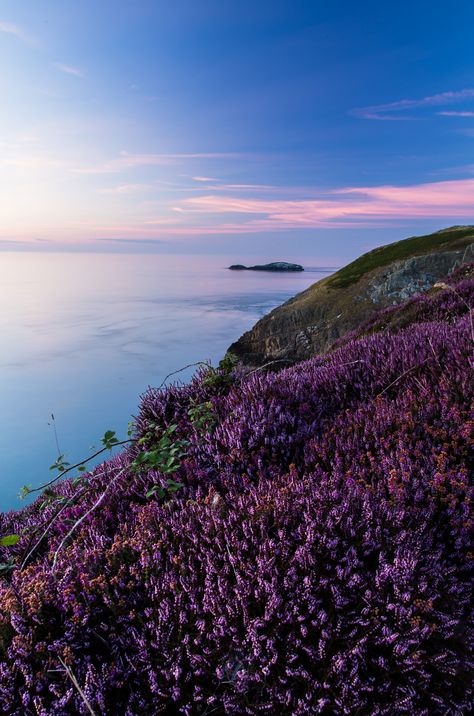 Seaside Field "Daydream" - Anglesey, North Wales | Sunset over the north coast of Anglesey near Llanbadrig, the northest point in Wales, UK. Heather in bloom painting with purple colours the coastal cliffs and the tiny inlet of Middle Mouse on the background as light dims out. St Patrick landed on Middle Mouse before going to Ireland, there a nearby church allegedly founded by St. Patrick himself in 440CE. Anglesey Wales, Watercolor Sky, Wales Uk, Field Of Dreams, Coastal Landscape, North Wales, Amazing Places, Landscape Photographers, Places Around The World