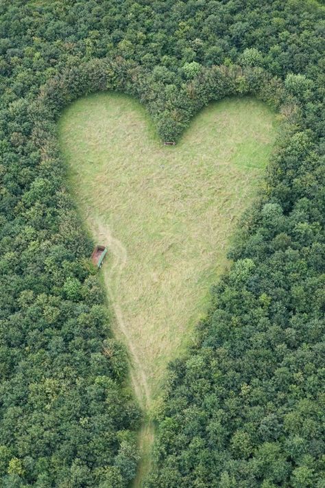 aheart-shaped meadow, created by a farmer as a tribute to his late wife, can be seen from the air near Wickwar, South Gloucestershire. the point of the heart points towards Wotton Hill, where his wife was born. Ormanlık Alan, Heart In Nature, Have Inspiration, I Love Heart, A Farmer, My Funny Valentine, Beating Heart, In The Woods, Beautiful World