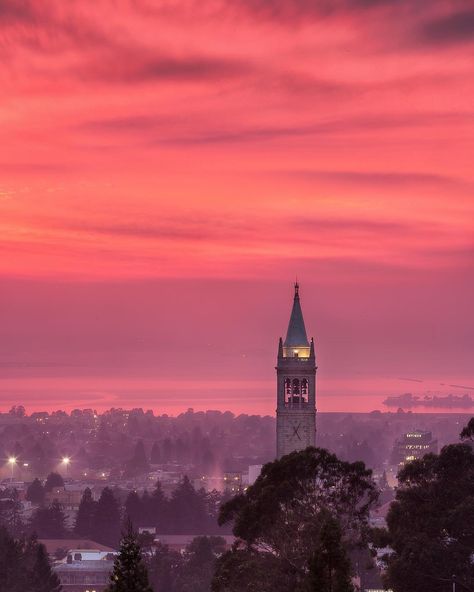 UC Berkeley on Instagram: “Merry Christmas, everyone! 🌟 #fiatlux  #berkeleypov by @yumeeeeeeng  #ucberkeley #campanile #sunset #merrychristmas” Us Universities, University Life, Colour Board, Art Studies, Big Ben, Beautiful Art, Art Photography, Merry Christmas, California