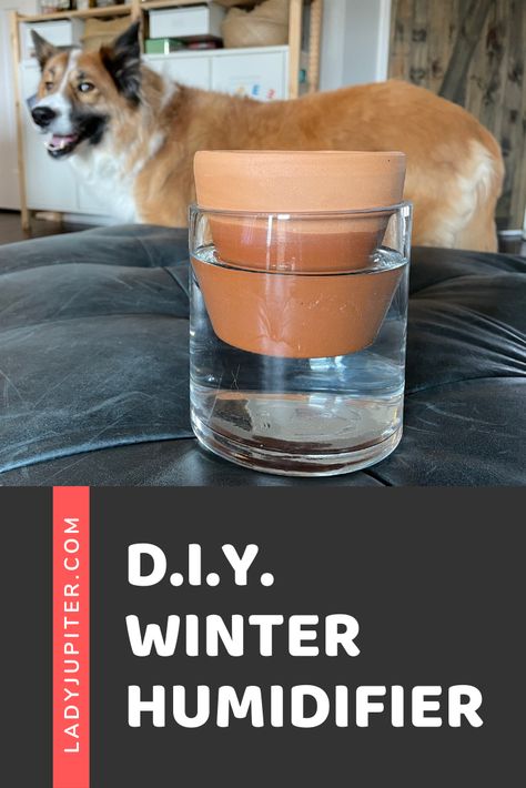 D.I.Y. Winter Humidifier – Lady Jupiter Diy Plant Humidifier, Diy Humidifier Homemade, Radiator Humidifier, Homemade Humidifier, Water Humidifier, Diy Humidifier, Humidifier Diy, Ikea Planters, Terra Cotta Plant