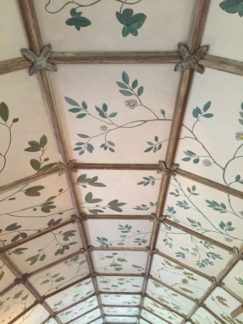 Gorgeous painted ceiling with leaves and vines Decorated Ceiling, Ceiling Painting, Ceiling Murals, Wallpaper Ceiling, House Gardens, Dropped Ceiling, Ceiling Panels, Painted Ceiling, Ceiling Design