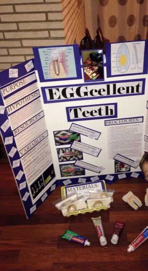 EGG-cel lent Teeth Science Project Board, Kids Science Fair Projects, Egg Experiment, Science Fair Board, Science Fair Experiments, Elementary Science Experiments, Science Fair Projects Boards, Easy Science Projects, Egg Experiments