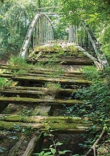 Apocalypse Aesthetic, Post Apocalypse, Abandoned Buildings, Nature Aesthetic, End Of The World, Pretty Places, Green Aesthetic, Abandoned Places, Garden Bridge