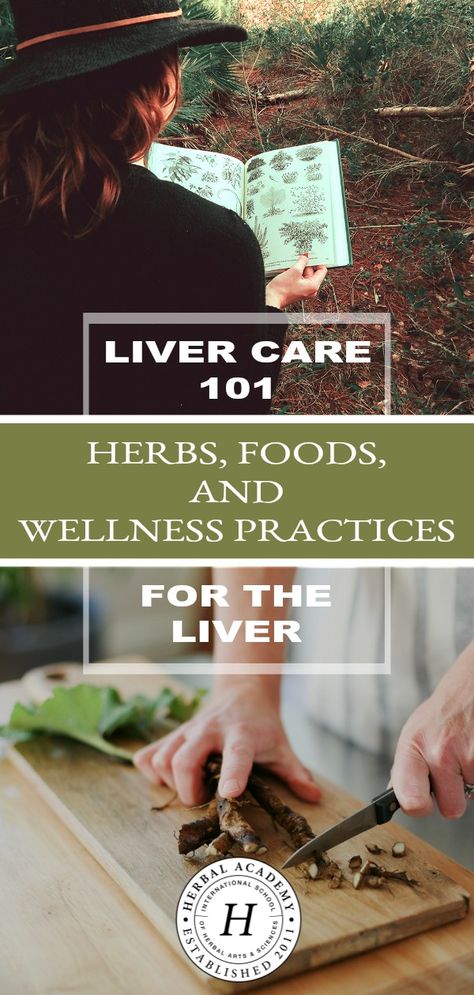 Liver Herbs, Liver Care, Kidney Detox, Cleanse Detox, Liver Detoxification, Liver Support, Herbs For Health, Liver Detox, Healthy Liver