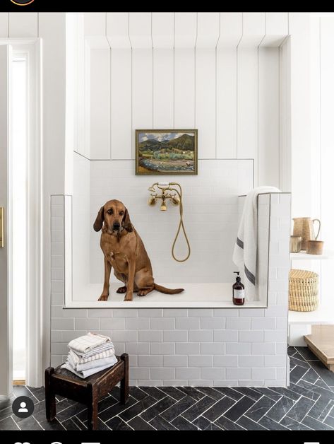 Boho Laundry, Pet Washing Station, Wash Station, Dog Washing Station, Blogger Home, Pantry Ideas, Transitional Bathroom, Dog Wash, Dog Rooms