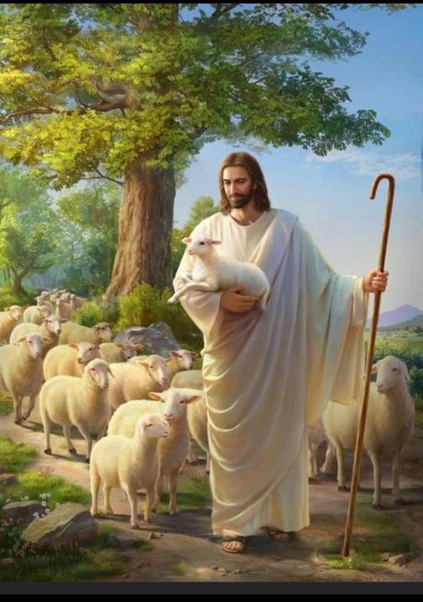 Christ The Good Shepherd, Jesus Christ Illustration, Catholic Pictures, Jesus Christ Painting, Jesus Christ Artwork, Pictures Of Christ, Bible Images, Jesus And Mary Pictures, Jesus Christ Art