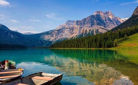 Famous Wallpaper, Nature Reflection, Water Forest, Hd Landscape, Mountains Vacation, Boat Lake, Mountain Summer, Forest Sunset, Wallpaper Landscape