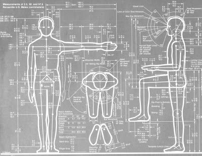 Henry Dreyfuss Ergonomics Human Measurements, Henry Dreyfuss, American Bathroom, Human Dimension, Concept Diagram, Anatomy Poses, Book Illustration Art, Room Color Schemes, Wood Carving Patterns