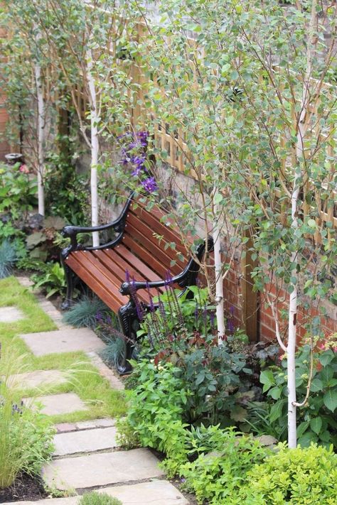 Trees For Small Gardens, Small Cottage Garden Ideas, Small Trees For Garden, Small Courtyard Gardens, Garden Shrubs, Side Garden, Garden Living, Small Garden Design, Courtyard Garden