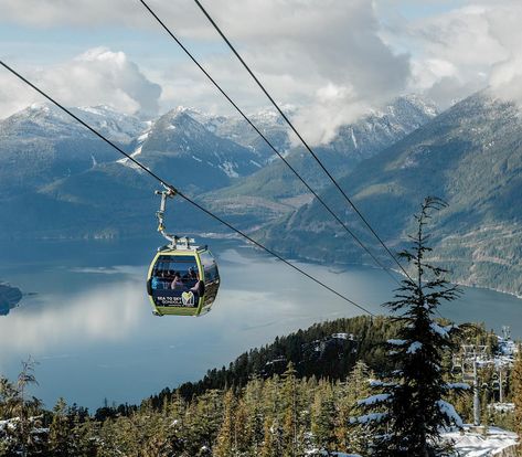 Sea To Sky Gondola, Nye 2023, Vancouver Vacation, Coastal Forest, Activities For All Ages, Canada Road Trip, Events Activities, Pacific Nw, Walking Trails