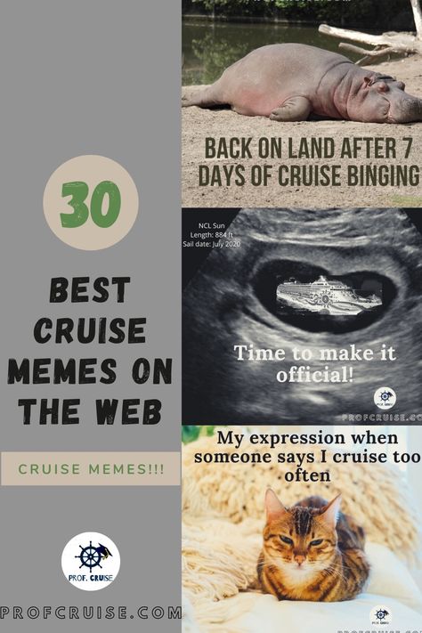 30 of the best cruise memes anywhere on the web! Cruise Quotes Funny Humor, Cruise Funny Quotes, Funny Cruise Ship Sayings, Cruise Memes, Cruise Memes Funny, Vacation Over Meme, Cruise Food, Cruise Ship Memes Funny, Best Vacation Destinations