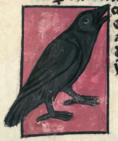 Medieval Bestiary : Beasts : Crow Medieval Bestiary Illustrations, Medieval Manuscript Illustration, Medieval Art Illustration, Alchemical Tarot, Crow Illustration, Pottery Aesthetic, Medieval Animals, Medieval Illustration, Dragon Time