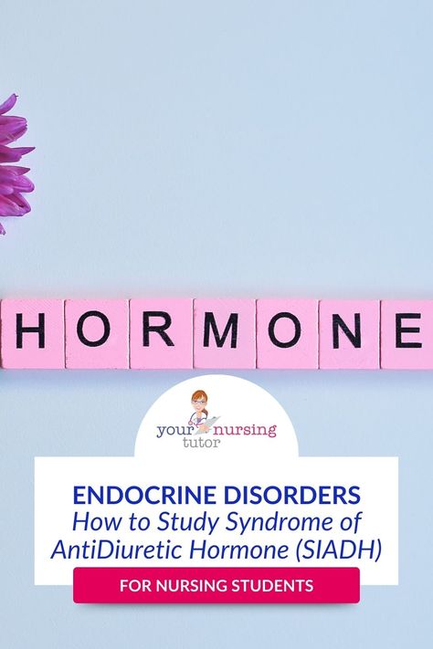 Struggling to study the endocrine system for nursing school? Find out how to get a simple nursing cheat sheet that includes the most important information you need to study to ace your Med-Surg endocrine exams (or even to pass Anatomy and Physiology!). Simple Nursing, Active Learning Strategies, Nursing Cheat Sheet, The Endocrine System, Nursing Cheat, Endocrine Disorders, How To Study, Med Surg, Nursing School Notes