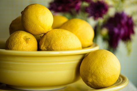 How to Store Lemons the Right Way Store Lemons, Fake Lemons, Storing Lemons, Lemon Bowl, Lemon Health Benefits, Lemon Mousse, Lemon Custard, Roasted Green Beans, Dried Lemon