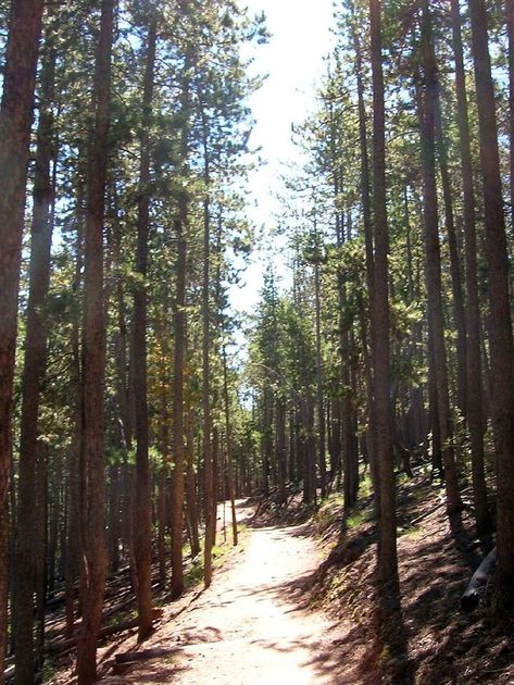 Hiking Alderfer/Three Sisters Park in Evergreen. Photo: Ben & Whitney Carey Colorado Towns, Evergreen Colorado, Vision Board Images, Beautiful Landscape Photography, Mountain Town, Beautiful Landscapes, Easy Access, Landscape Photography, Colorado