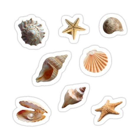 Decorate laptops, Hydro Flasks, cars and more with removable kiss-cut, vinyl decal stickers. Glossy, matte, and transparent options in various sizes. Super durable and water-resistant. Seashell stickers Conch Shells, Iphone Case Stickers, Tumblr Stickers, Hydroflask Stickers, Conch Shell, Itty Bitty, Aesthetic Stickers, Sticker Pack, Stickers Packs