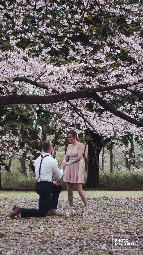 Proposal In Japan, Cherry Blossom Proposal, Tokyo Proposal, Japan Proposal, Dream Proposal, Proposal Photoshoot, Japan Wedding, Japan Cherry Blossom, Cherry Blossom Japan