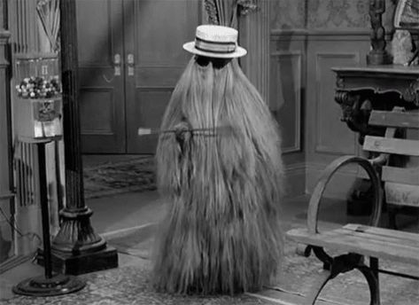 Cousin Itt GIF - Cousin Itt Cousinitt - Discover & Share GIFs Cousin It Adams Family, Cousin Itt, Addams Family Tv Show, Los Addams, Cousin It, Charles Addams, Addams Family Costumes, Gomez Addams, Chiropractic Adjustment