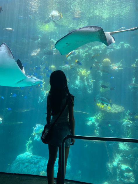 Aquarium Trip, Chicago Aquarium, Aquarium Of The Pacific, Aquarium Pictures, Chicago Summer, Dream Friends, I Love My Friends, Insta Photo Ideas, Travel Inspo