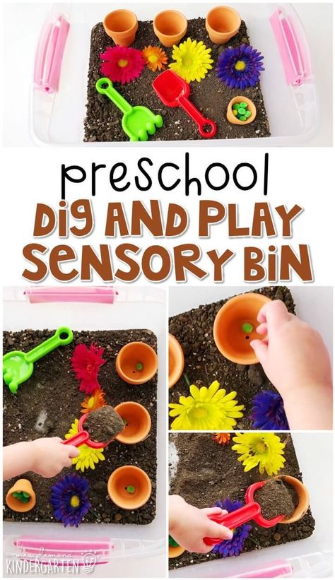 Preschool Plants, Plants Lesson Plans, Spring Lesson Plans, April Preschool, Spring Preschool Activities, Daycare Themes, Spring Lessons, Preschool Garden, Toddler Themes