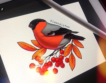 Bullfinch Tattoo, Neo Traditional Bird, Sketching Procreate, Bird On A Branch, Bullfinch, Neo Traditional, S Tattoo, Illustration Sketches, Paint Ideas