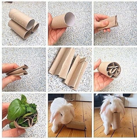 Diy Foraging Toys For Rabbits, Toys For Rabbits Diy, Rabbit Toys Diy Homemade, Diy Rabbit Enrichment, Rabbit Diy Toys, Rabbit Toys And Boredom Busters, Bunny Diy Toys, Homemade Bunny Toys, Rabbit Hidey House