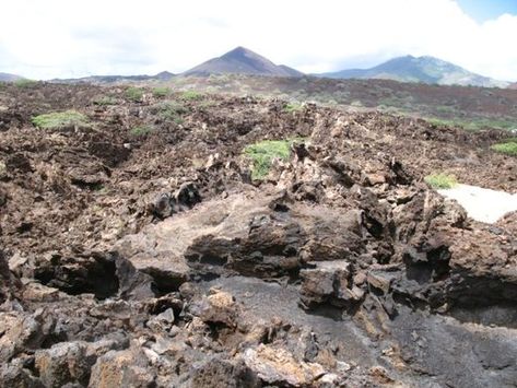 Ascension Island – Saint Helena - Atlas Obscura School Methods, Waldorf Homeschooling, Montessori Teaching, Montessori Elementary, Ascension Island, Volcanic Island, Riding School, Norfolk Pine, Secondary Teacher