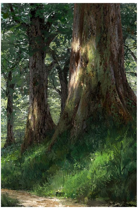 Forest painting., Quentin Mabille on ArtStation at https://www.artstation.com/artwork/4PVA4 Tree Art Painting, Bored Art, Environment Art, Old Trees, Landscape Art Painting, Forest Painting, Nature Forest, 수채화 그림, Watercolor Trees