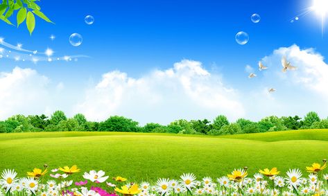 Blue sky and grass background, Grassland, Landscape, Background image Sky And Grass Background, Background Images Landscape, Background Images Blue, Grassland Landscape, Desktop Background Nature, Sf Wallpaper, Landscape Blue, Photoshop Backgrounds Backdrops, Red Background Images