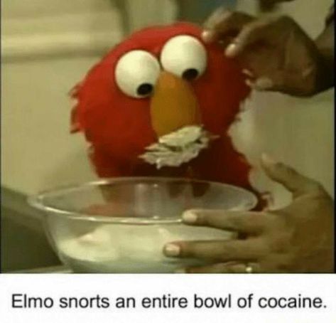 Cracked Out Elmo, He Protecc He Atacc Elmo, Elmo Arson, Elmo Pictures, Elmo Memes, Elmo Wallpaper, Sesame Street Memes, Elmo And Friends, Funny Puppies