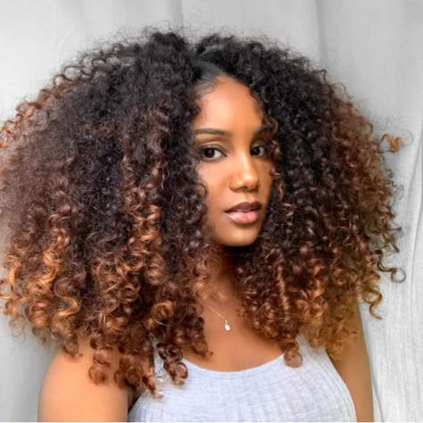 Curlyaddict on Instagram: “_______ @sbsb.fr ________ #curlyhair #curlyhairstyles #curlygirl #curls #curly #curlynaturalhair #cute #curlyhairroutine #curlygirlmethod…” Ombré Curly Hair, Dyed Curly Hair Black Women, Natural Hair Highlights, Ombre Curly Hair, Bronze Hair, Highlights Curly Hair, Natural Curly Hair Cuts, Dyed Curly Hair, Ombré Hair